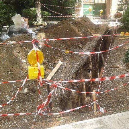 Tecnica di ancoraggi di arboricoltura .